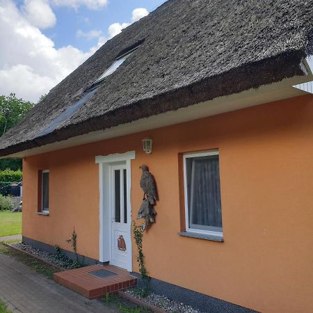 Apartamento Buhne II Og Wieck Exterior foto